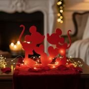 Zaljubljeni par mišk